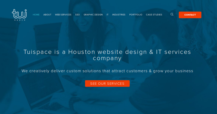 Home page of #2 Top Houston Website Development Company: TuiSpace