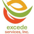 Best Jacksonville Web Design Firm Logo: Excede Services Inc