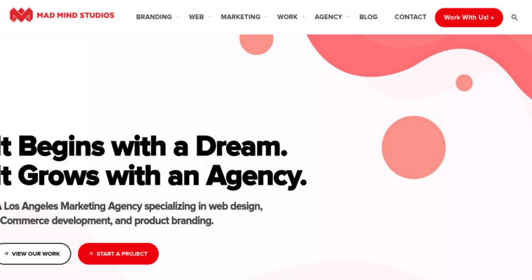 Home page of #8 Top LA Website Design Agency: Mad Mind Studios