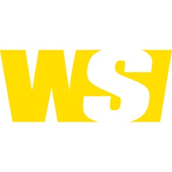 Top Vegas Web Design Company Logo: The Web Squad