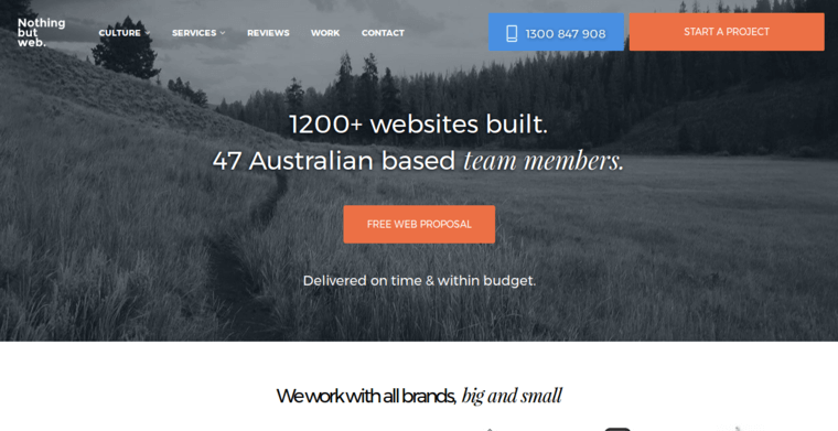 Home page of #8 Top Melbourne Web Design Agency: Nothing But Web