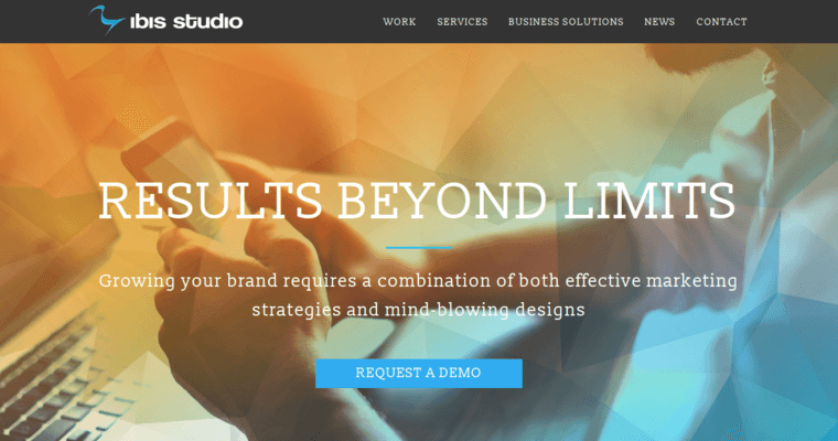 Home page of #8 Best Miami Web Design Company: Ibis Studio