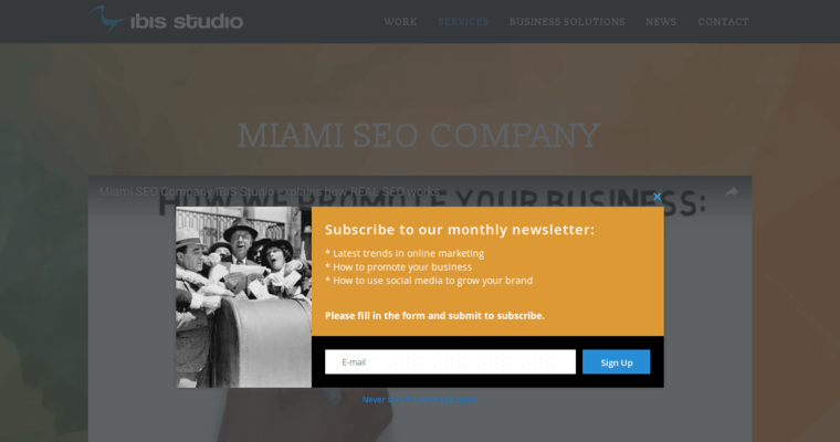 Company page of #8 Leading Miami Web Development Business: Ibis Studio