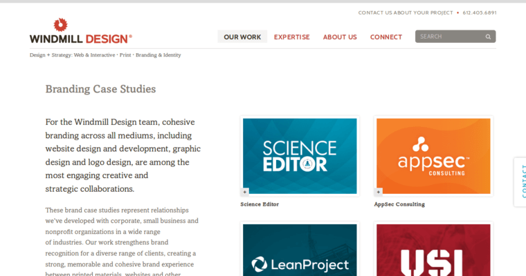Work page of #7 Top Minneapolis Web Design Business: Windmill Design