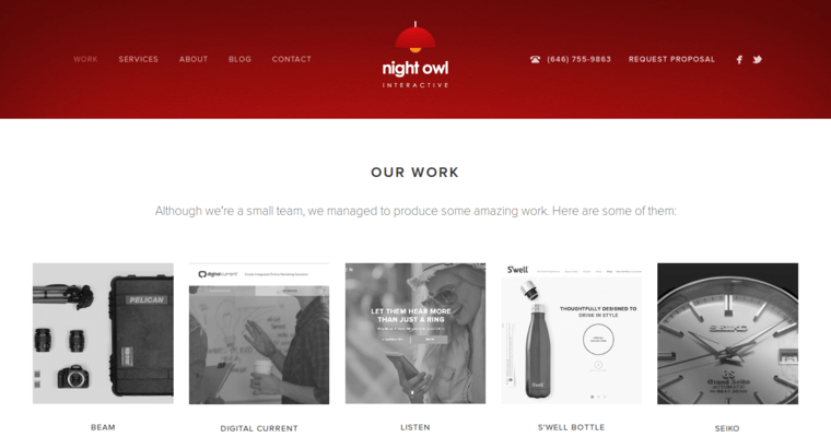 Work page of #3 Top New web design Agency: Night Owl Interactive