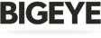 Best Orlando Web Development Company Logo: BIGEYE