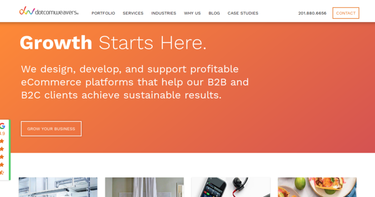 Home page of #8 Best Pharmaceutical Web Design Firm: DotcomWeavers