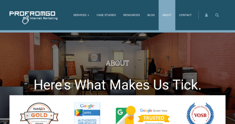 About page of #9 Top Pittsburgh Web Development Agency: ProFromGo Internet Marketing