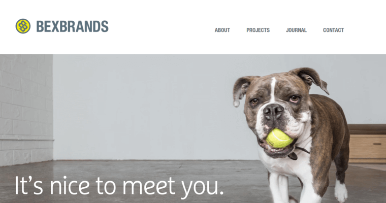 Home page of #9 Top Brochure Design Firm: Bex Brands