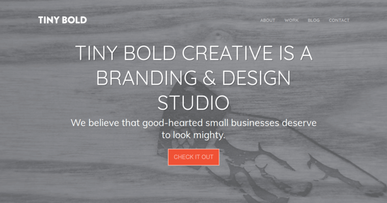 Home page of #4 Best Print Design Agency: Tiny Bold