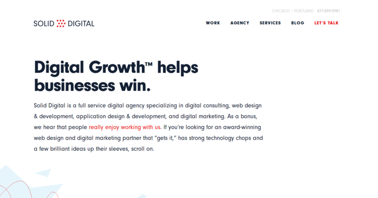 Home page of #23 Top Website Development Firm: Solid Digital
