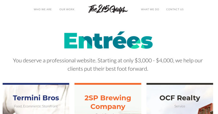 Folio page of #21 Top Web Design Agency: The 215 Guys