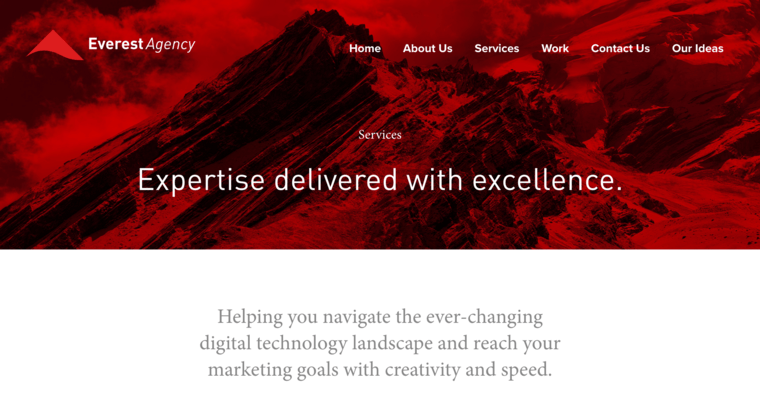 Service page of #6 Best Raleigh Web Design Agency: Everest Agency