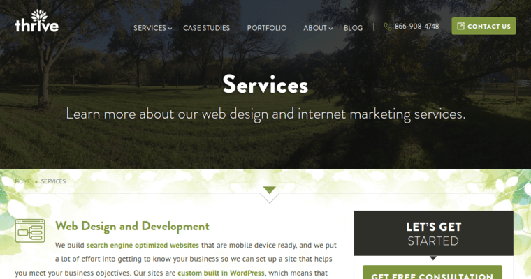 Service page of #15 Top Responsive Web Design Company: Thrive Internet Marketing