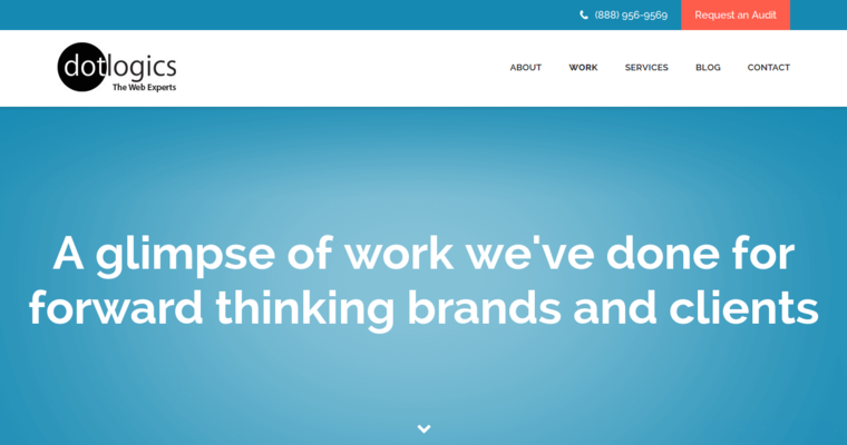 Work page of #8 Top Responsive Website Design Agency: Dotlogics