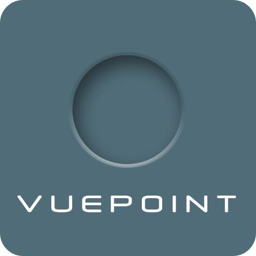 Best SA Website Design Company Logo: Vuepoint Creative