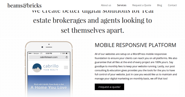 Service page of #9 Best San Diego Web Development Business: Beams and Bricks 