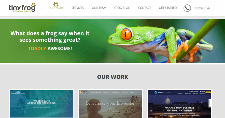 Work page of #7 Best San Diego Web Development Business: Tiny Frog Technologies