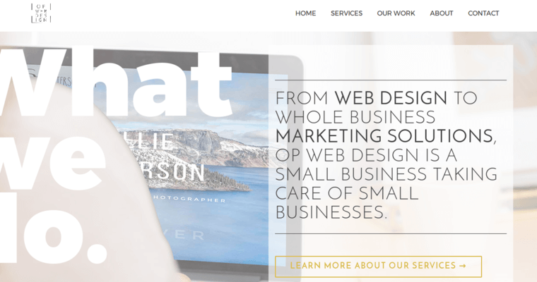 What page of #2 Top San Diego Web Development Agency: OP WEB DESIGN 