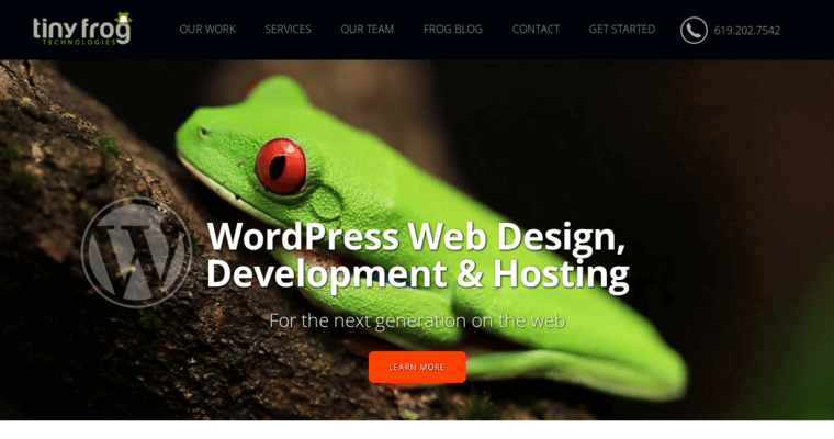 Home page of #7 Top San Diego Web Development Business: Tiny Frog Technologies