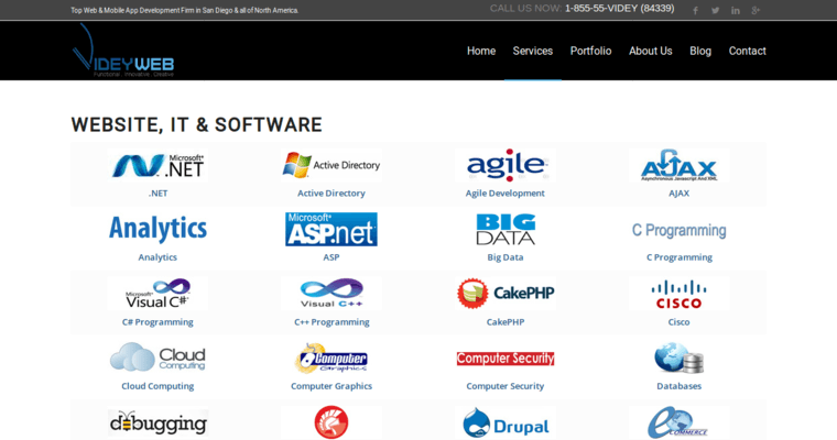 Service page of #6 Best San Diego Web Design Agency: VideyWeb 