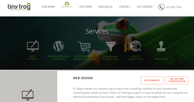 Service page of #7 Best San Diego Web Design Business: Tiny Frog Technologies