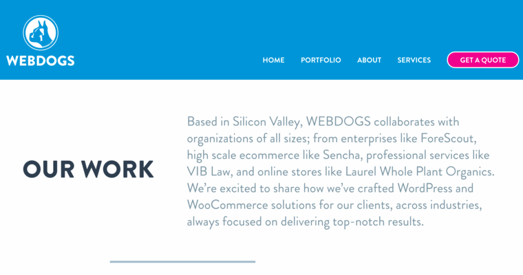 Portfolio page of #9 Best San Jose Web Design Company: WEBDOGS