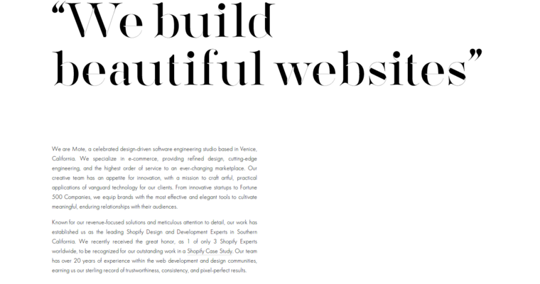 About page of #8 Top SEO Web Design Firm: Mote
