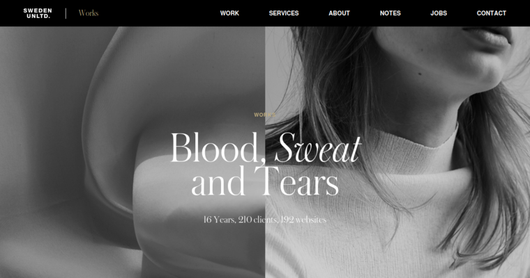 Work page of #2 Best SEO Website Design Business: Sweden Unlimited