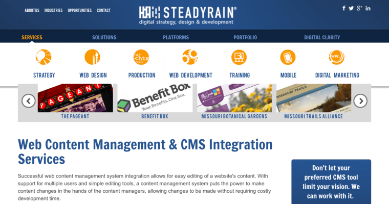 Web Design page of #6 Top St. Louis Web Development Business: SteadyRain