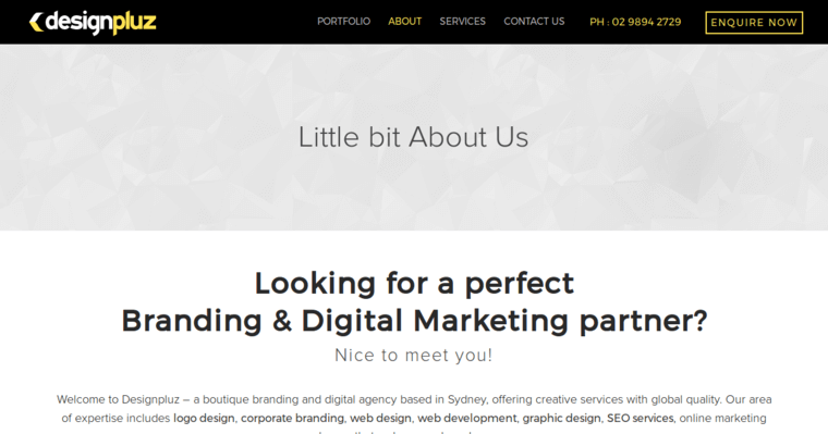 About page of #10 Top Sydney Web Design Firm: Designpluz 