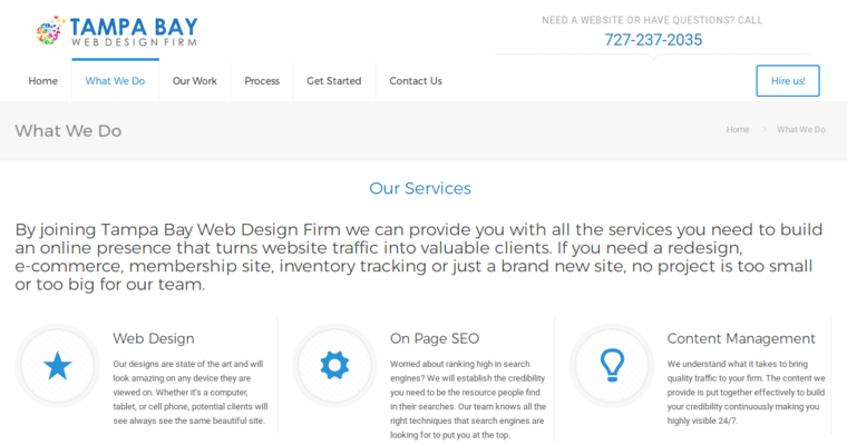 What page of #8 Best Tampa Web Design Firm: Tampa Bay Web Design Firm