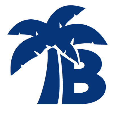 Best Tampa Bay Web Design Business Logo: Tranquil Blue