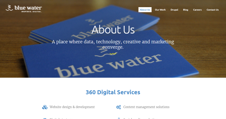 about page of #2 Leading DC Web Design Firm: Blue Water Media