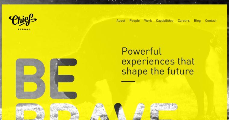 Home page of #3 Top Washington DC Web Design Company: Chief