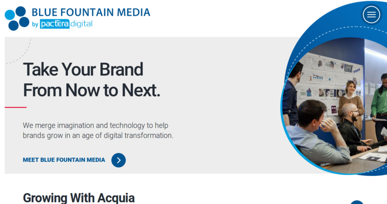 Home page of #2 Best WordPress Website Development Business: Blue Fountain Media