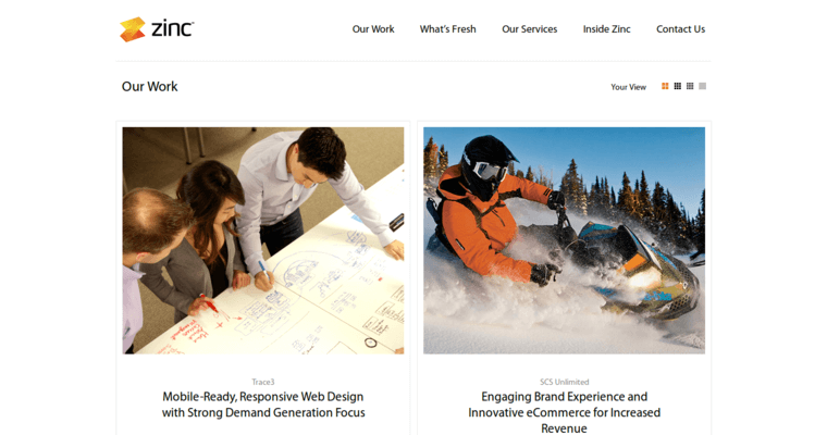 Work Page of Top Web Design Firms in California: Zinc Solutions